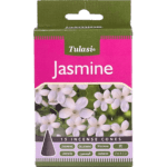 Jasmine